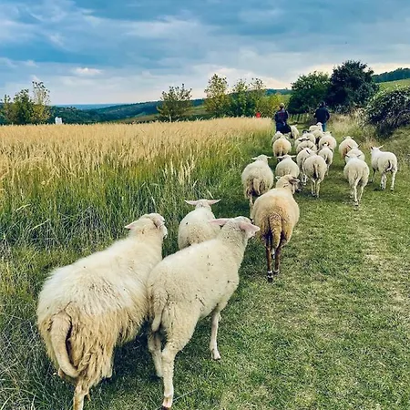 Farma Ovci Terasy