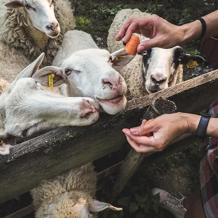 Farma Ovci Terasy Bauernhof Němčičky