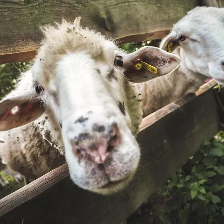 Farma Ovčí Terasy Çiftlik konaklama *