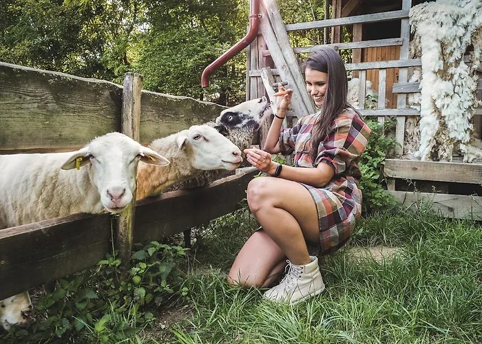 Gospodarstwo agroturystyczne Farma Ovci Terasy
